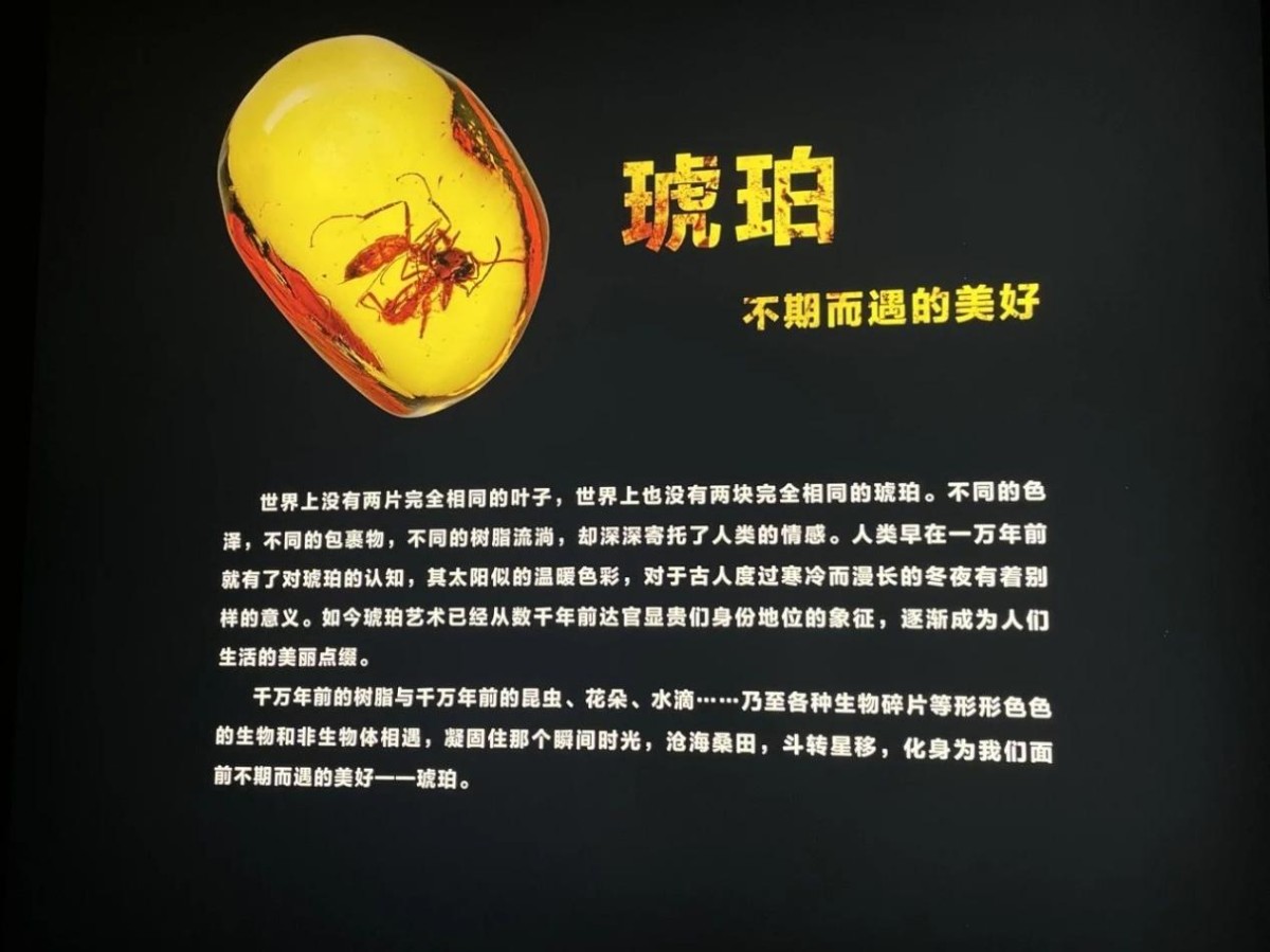 微信图片_20231117094413