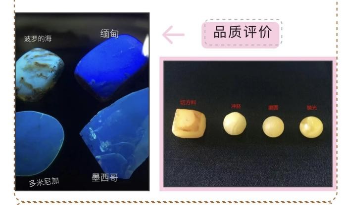 微信图片_20231117094446