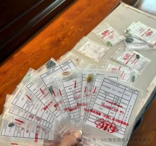 81a29240e5d5349f6d534cb33e30a85c25502ecf